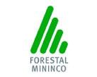 16-forestal-mininco